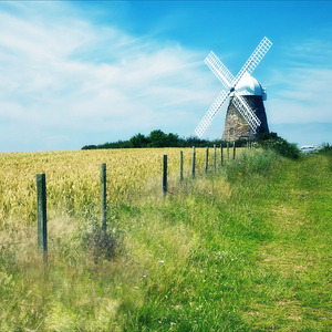 一个上添一个下添口是什么字
